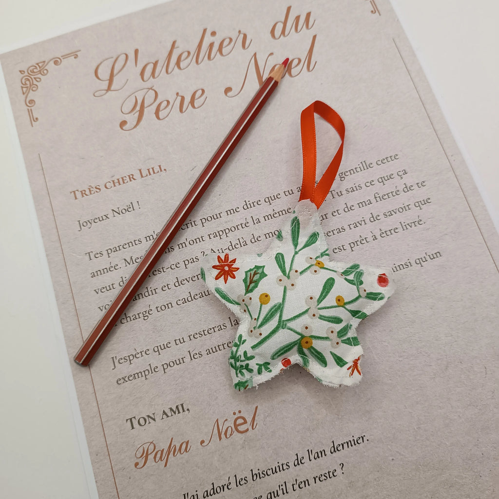 Décoration de sapin en forme d’étoile de Récup’ Tissu de Lili - décoration noel - décoration noel à accrocher - ornement de sapin de noel - ornement de noel - décoration noel tissu - décoration noel sapin - décoration noel rouge - ornement noel tissu - ornement noel rouge - ornement sapin de noel - décoration noel - décoration de noel fait main